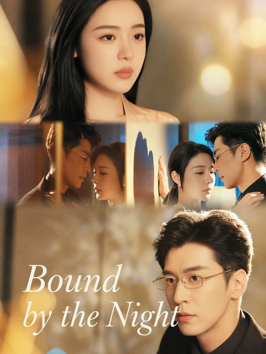 Bound by the Night 封面